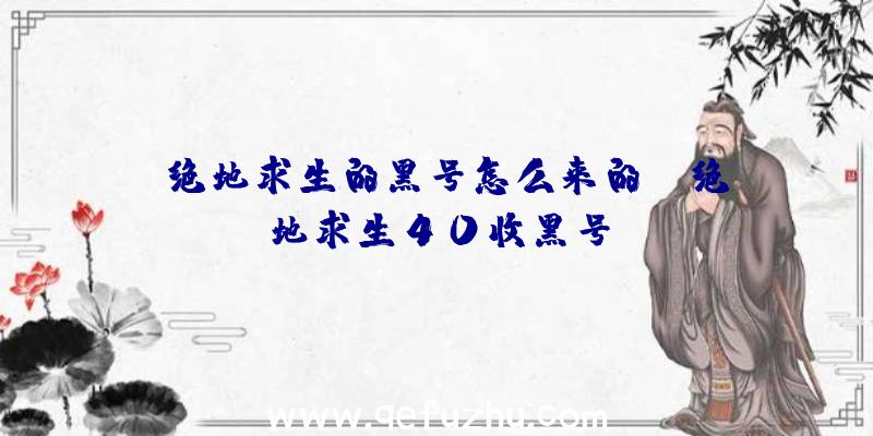 「绝地求生的黑号怎么来的」|绝地求生40收黑号